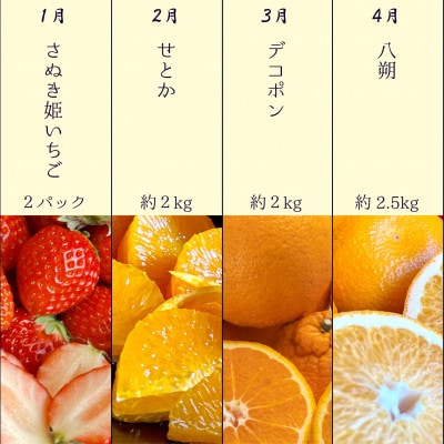 【発送月固定定期便】坂出市四季のオススメ!旬果実単品定期便♪全12回