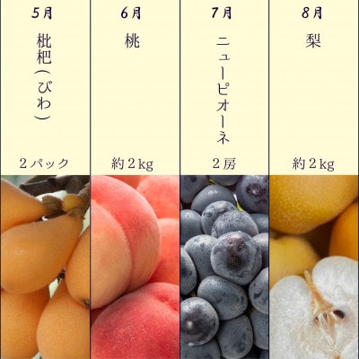 【発送月固定定期便】坂出市四季のオススメ!旬果実単品定期便♪全12回