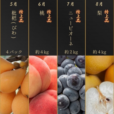 【発送月固定定期便】《プレミアム等級選果実!》坂出市四季のオススメ!旬果実単品定期便♪全12回