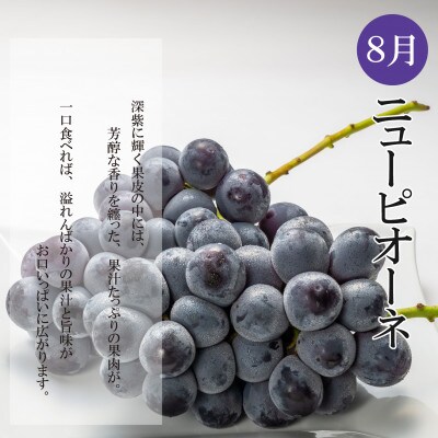 【発送月固定定期便】夏のいいとこどり定期便(7月・8月・9月)全3回