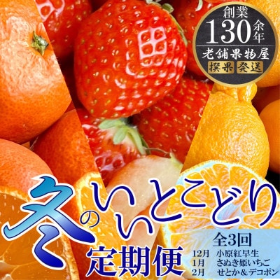 【発送月固定定期便】冬のいいとこどり定期便(12月・1月・2月)全3回