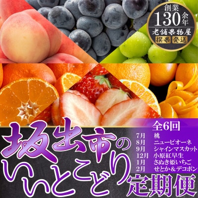【発送月固定定期便】坂出市のいいとこどり定期便(7月・8月・9月・12月・1月・2月)全6回