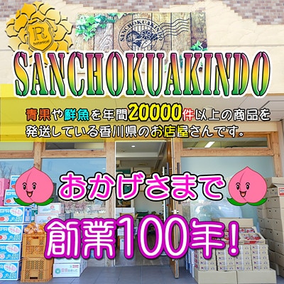 <滴る果汁とあふれる果肉が自慢>大玉の桃2kgセット【先行受付・2025年6月下旬より順次発送予定】
