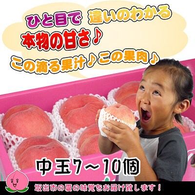 <滴る果汁とあふれる果肉が自慢>中玉の桃2kgセット【先行受付・2025年6月下旬より順次発送予定】