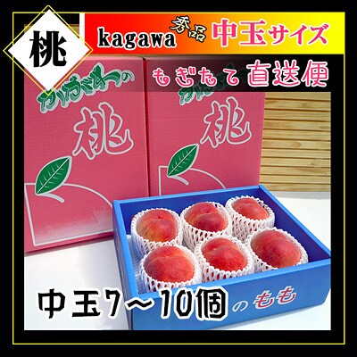 <滴る果汁とあふれる果肉が自慢>中玉の桃2kgセット【先行受付・2025年6月下旬より順次発送予定】