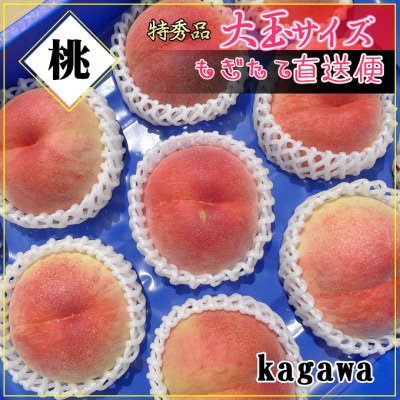 <滴る果汁とあふれる果肉が自慢>香川産の桃 4kgセット【先行受付・2025年6月下旬より順次発送】