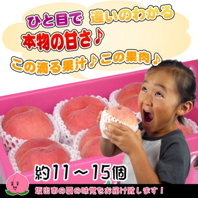 <滴る果汁とあふれる果肉が自慢>香川産の桃 4kgセット【先行受付・2025年6月下旬より順次発送】