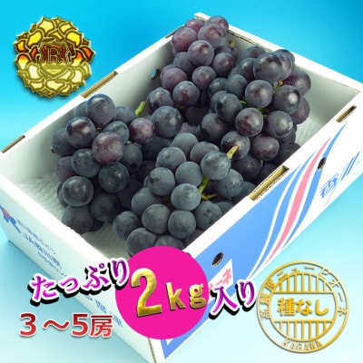 ニューピオーネ 秀品 2kg ( 約3 ～ 5房 )  【2025年発送 】ぶどう 香川産 人気品種