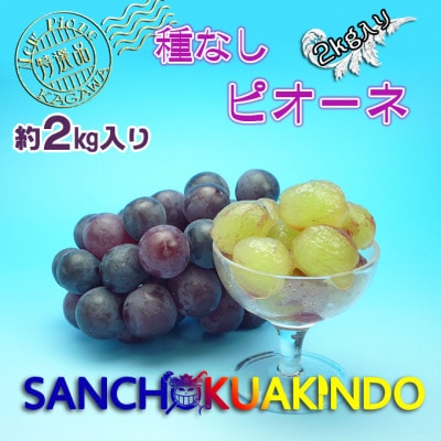 ニューピオーネ 秀品 2kg ( 約3 ～ 5房 )  【2025年発送 】ぶどう 香川産 人気品種