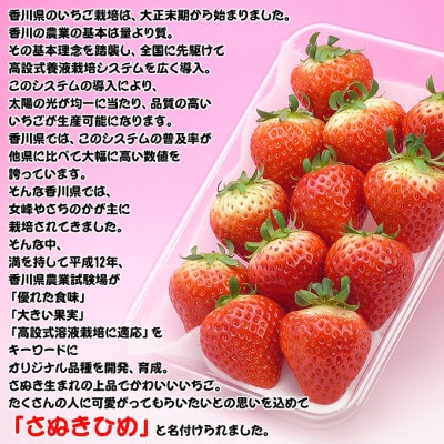 香川県オリジナル品種!さぬき姫いちご4パック