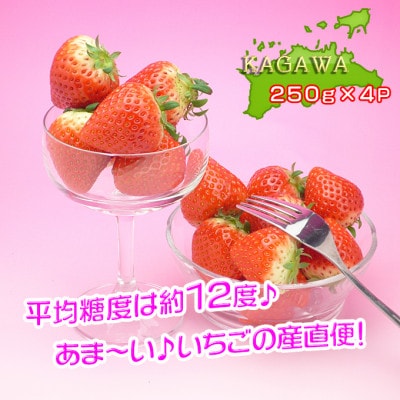 香川県オリジナル品種!さぬき姫いちご4パック