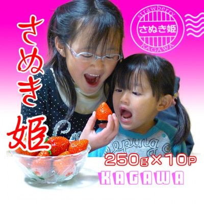 香川県オリジナル品種!さぬき姫いちご10パック