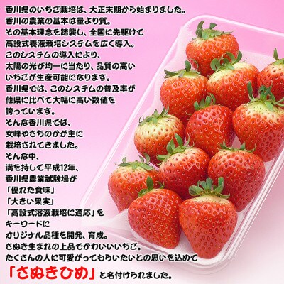 香川県オリジナル品種!さぬき姫いちご10パック
