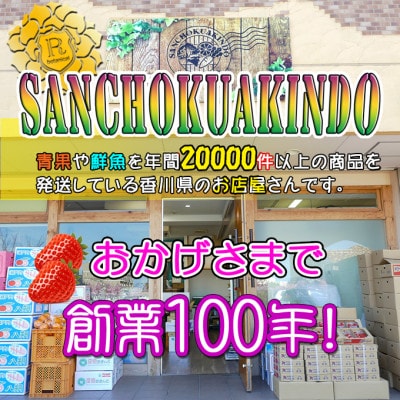 香川県オリジナル品種!さぬき姫いちご10パック