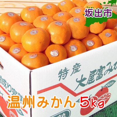 甘くて味濃い香川産の温州みかん5kg (坂出市産)