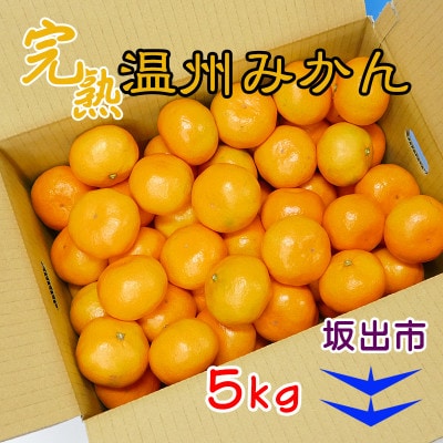 甘くて味濃い香川産の温州みかん5kg (坂出市産)