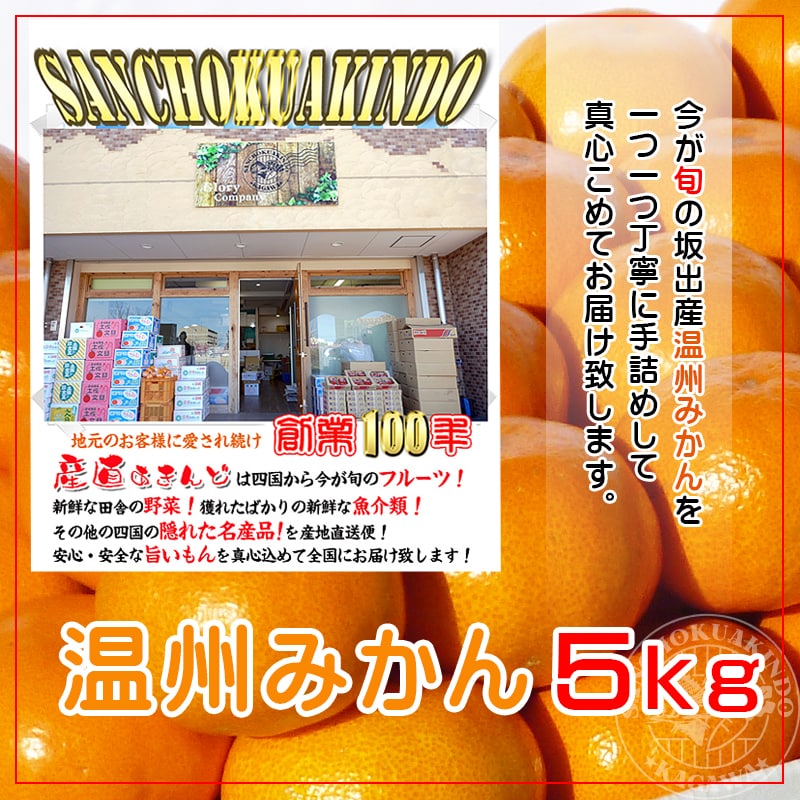 甘くて味濃い香川産の温州みかん5kg (坂出市産)