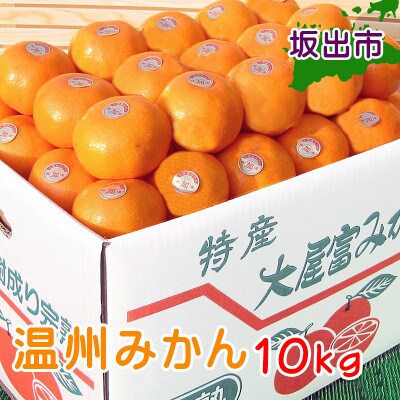 甘くて味濃い香川産の温州みかん約10kg (坂出市産)