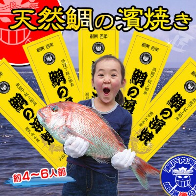 【瀬戸内海産】朝廷献上品・天然鯛の浜焼き/鯛の塩釜焼き《約5人～6人前》Lサイズ