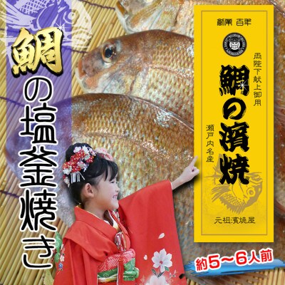 【瀬戸内海産】朝廷献上品・天然鯛の浜焼き/鯛の塩釜焼き《約5人～6人前》Lサイズ