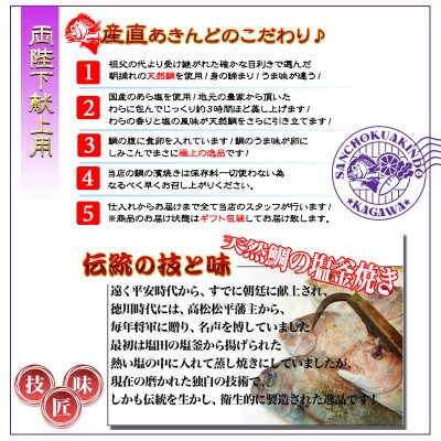 【瀬戸内海産】朝廷献上品・特大サイズ天然鯛の浜焼き/鯛の塩釜焼き《約7人～10人前》LLサイズ