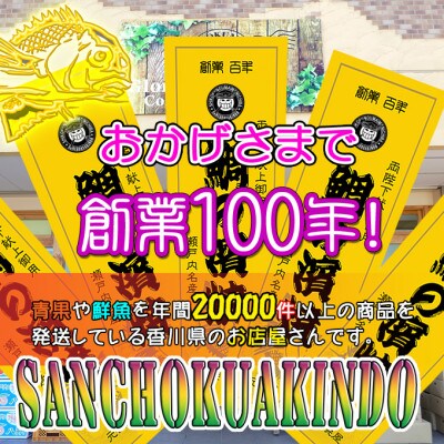 【瀬戸内海産】朝廷献上品・特大サイズ天然鯛の浜焼き/鯛の塩釜焼き《約7人～10人前》LLサイズ