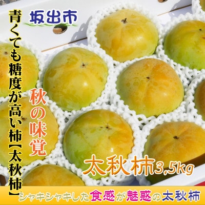 新感覚の触感と甘さ!太秋柿　約3,5kg