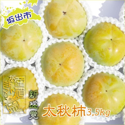 新感覚の触感と甘さ!太秋柿　約3,5kg