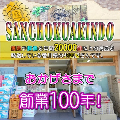新感覚の触感と甘さ!太秋柿　約3,5kg