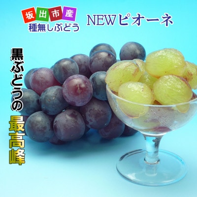ニューピオーネ 約1kg ( 約2～3房 ) 【2025年発送】ぶどう 香川産 人気品種