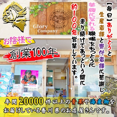 ≪瀬戸内海産≫鮮魚のプロが見極めた朝1番水揚げされた天然真鯛を直送致します。[中サイズ]