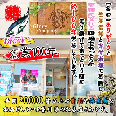 瀬戸内海産[薄塩加工済み]朝獲れ 鰆の切り身12切れ(4切れパック×3袋)冷凍品