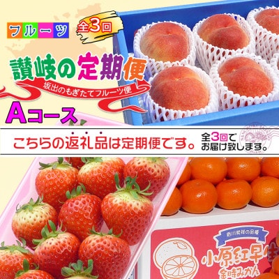 【発送月固定定期便】創業100年の老舗が選んだ讃岐のフルーツの定期便【Aコース3回】全3回