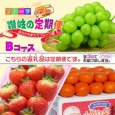 【発送月固定定期便】創業100年の老舗が選んだ讃岐のフルーツの定期便【Bコース3回】全3回