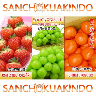 【発送月固定定期便】創業100年の老舗が選んだ讃岐のフルーツの定期便【Bコース3回】全3回