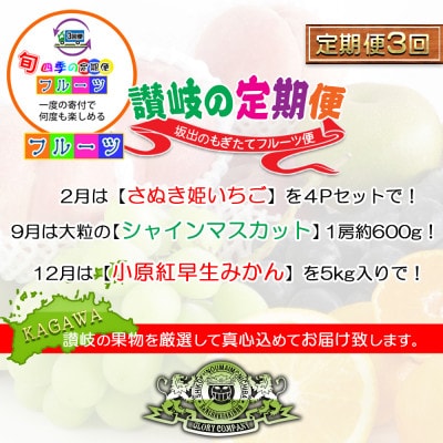 【発送月固定定期便】創業100年の老舗が選んだ讃岐のフルーツの定期便【Bコース3回】全3回