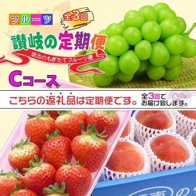 【発送月固定定期便】創業100年の老舗が選んだ讃岐のフルーツの定期便【Cコース3回】全3回