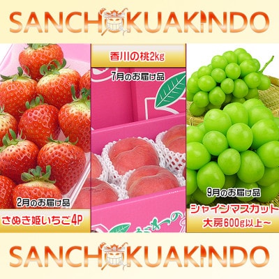 【発送月固定定期便】創業100年の老舗が選んだ讃岐のフルーツの定期便【Cコース3回】全3回