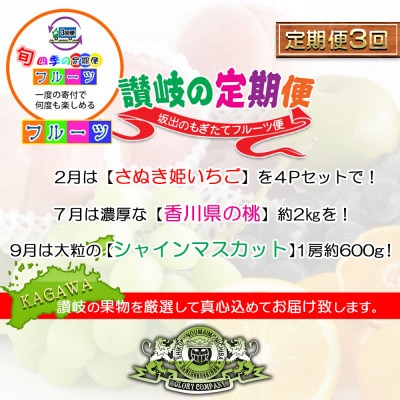 【発送月固定定期便】創業100年の老舗が選んだ讃岐のフルーツの定期便【Cコース3回】全3回