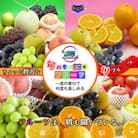 【毎月定期便】産直あきんどのフルーツセットSサイズ 詰め合わせ ( 約3 ～ 5品 )全3回