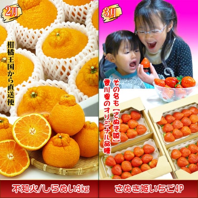 【発送月固定定期便】創業100年の老舗が選んだ讃岐のフルーツの定期便【Aコース4回】全4回