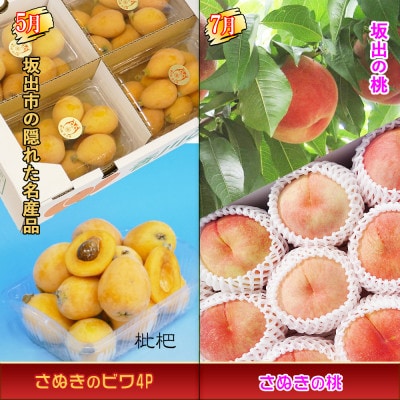【発送月固定定期便】創業100年坂出産のフルーツとさぬきの特産品の定期便【Cコース4回】全4回