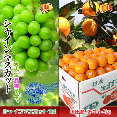 【発送月固定定期便】創業100年坂出産のフルーツとさぬきの特産品の定期便【Cコース4回】全4回
