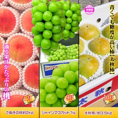 【発送月固定定期便】創業100年坂出産のフルーツとさぬきの特産品の定期便【Bコース6回】全6回