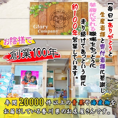 【発送月固定定期便】創業100年坂出産のフルーツとさぬきの特産品の定期便【Bコース6回】全6回