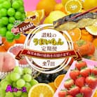 【発送月固定定期便】創業100年坂出産のフルーツとさぬきの特産品の定期便【Aコース7回】全7回