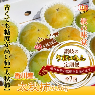 【発送月固定定期便】創業100年坂出産のフルーツとさぬきの特産品の定期便【Bコース7回】全7回