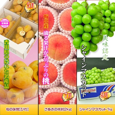 【発送月固定定期便】創業100年坂出産のフルーツとさぬきの特産品の定期便【Cコース7回】全7回
