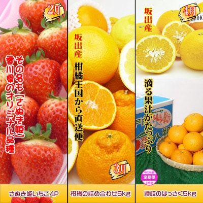 【発送月固定定期便】創業100年坂出産のフルーツとさぬきの特産品の定期便【Bコース9回】全9回
