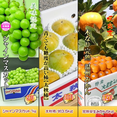 【発送月固定定期便】創業100年坂出産のフルーツとさぬきの特産品の定期便【Bコース9回】全9回